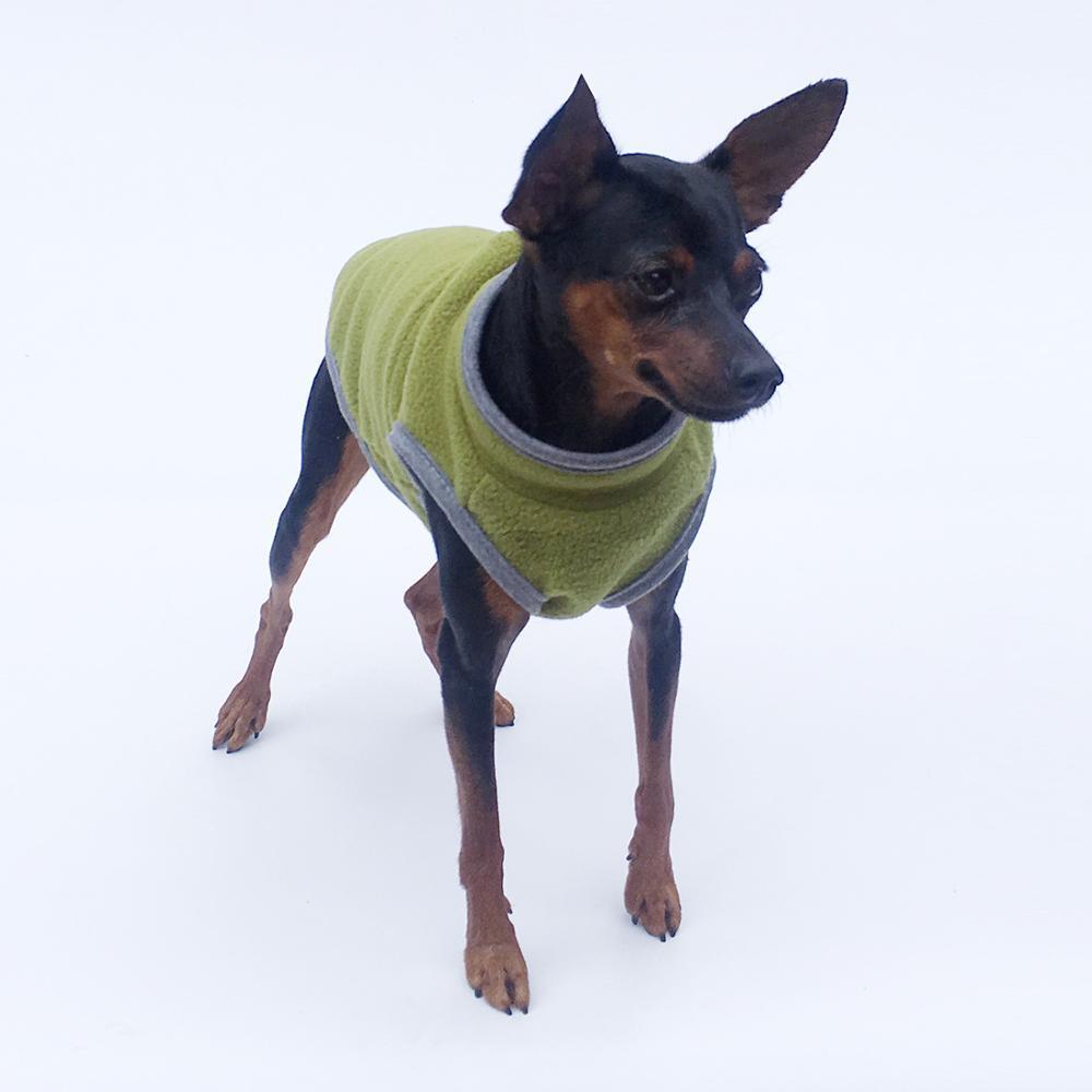 Dog Clothing
