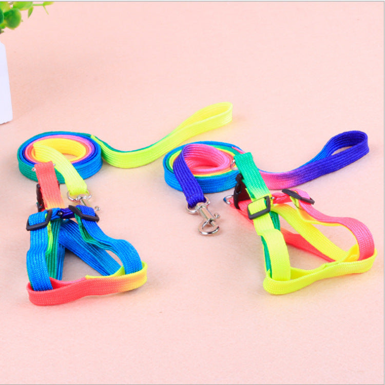 Leashes Colorful Leashes