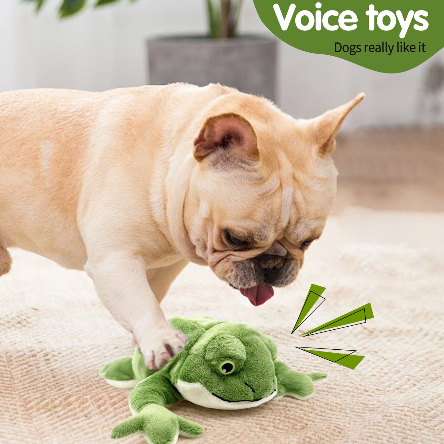Plush Sound Toy for Dogs