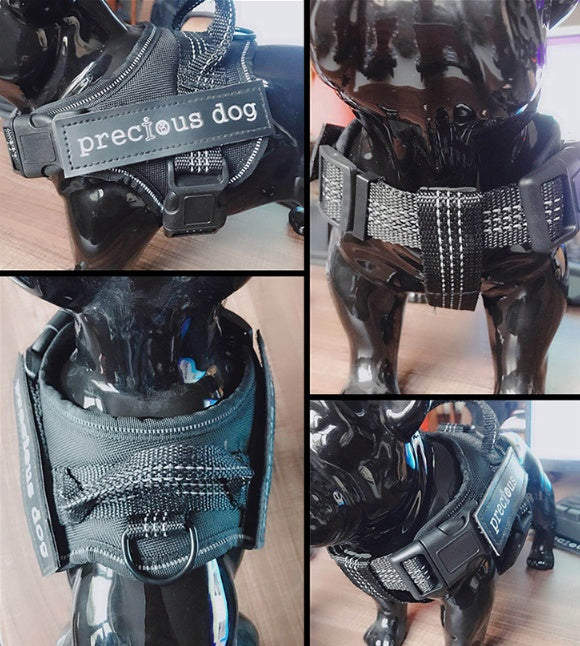 Pet Harness