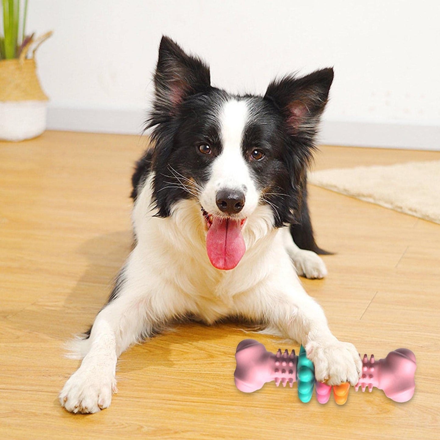 Indestructible Dog Chew Bone