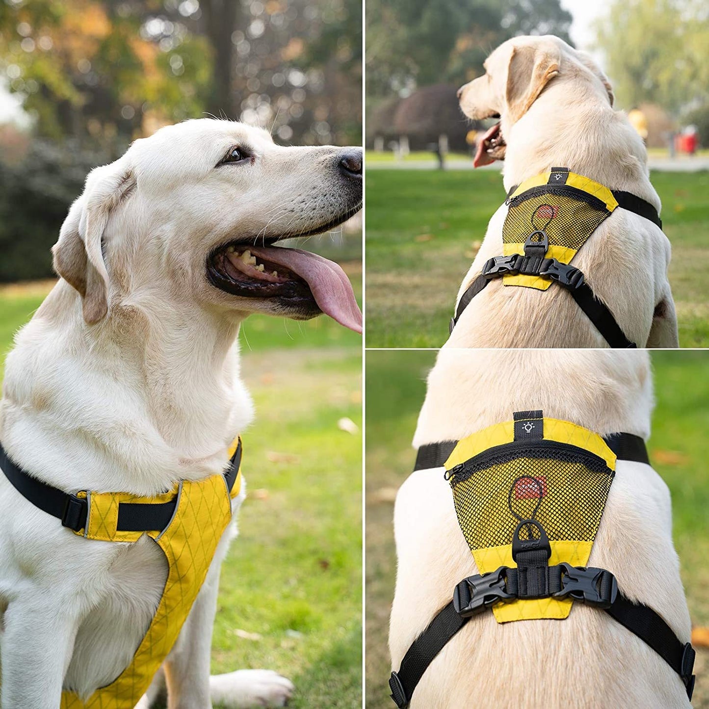 Waterproof No-Pull Dog Harness
