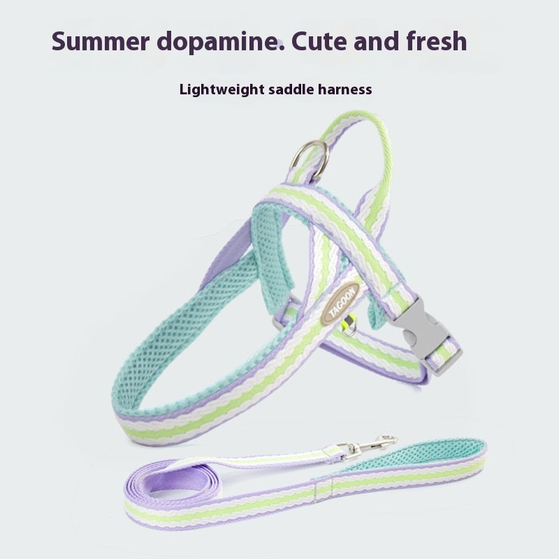 Dog Walking Harness