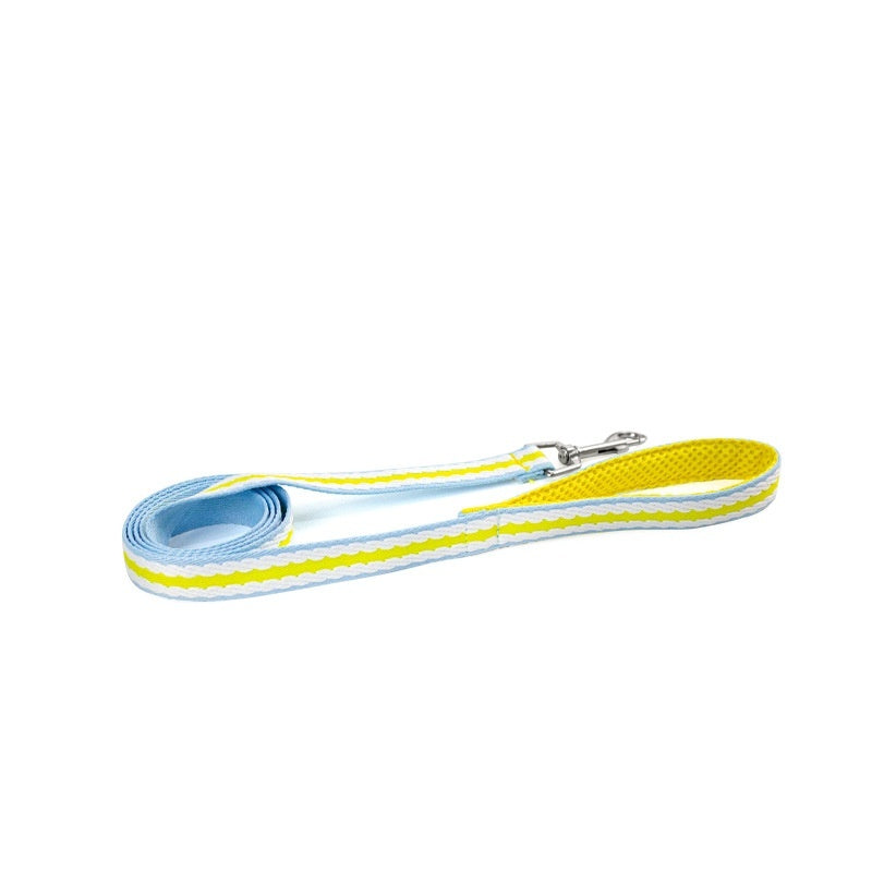 Dog Walking Harness