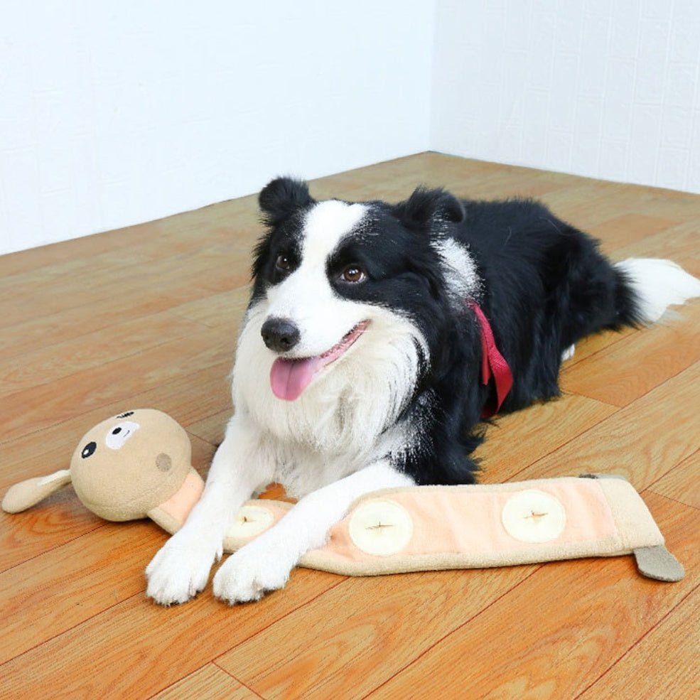 Sniff Toy & Training Bite