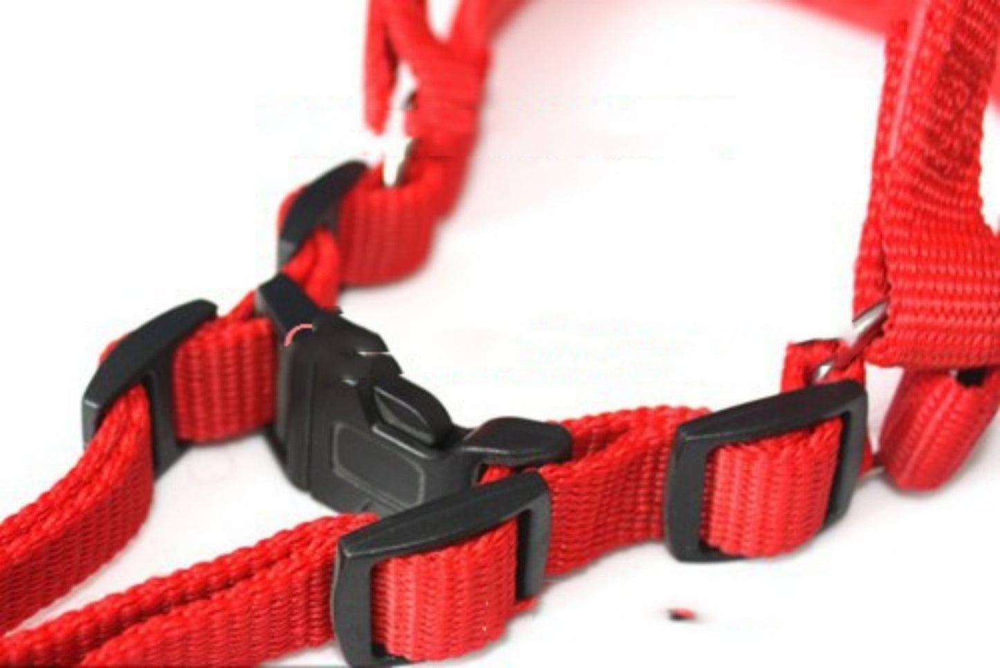 Soft Foam Pet Harness