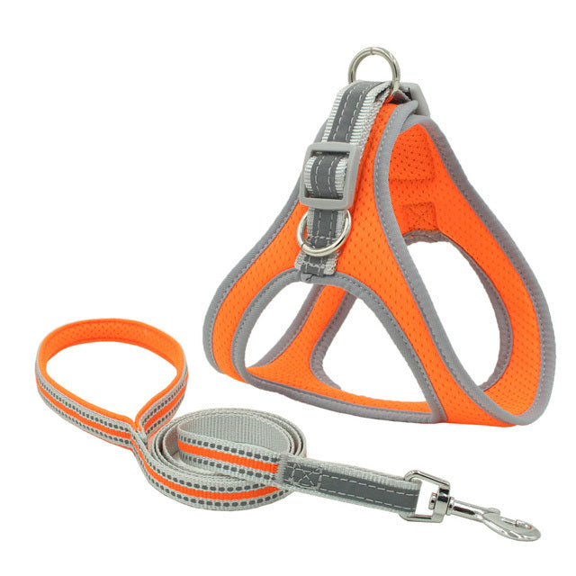 Pet Harness Vest