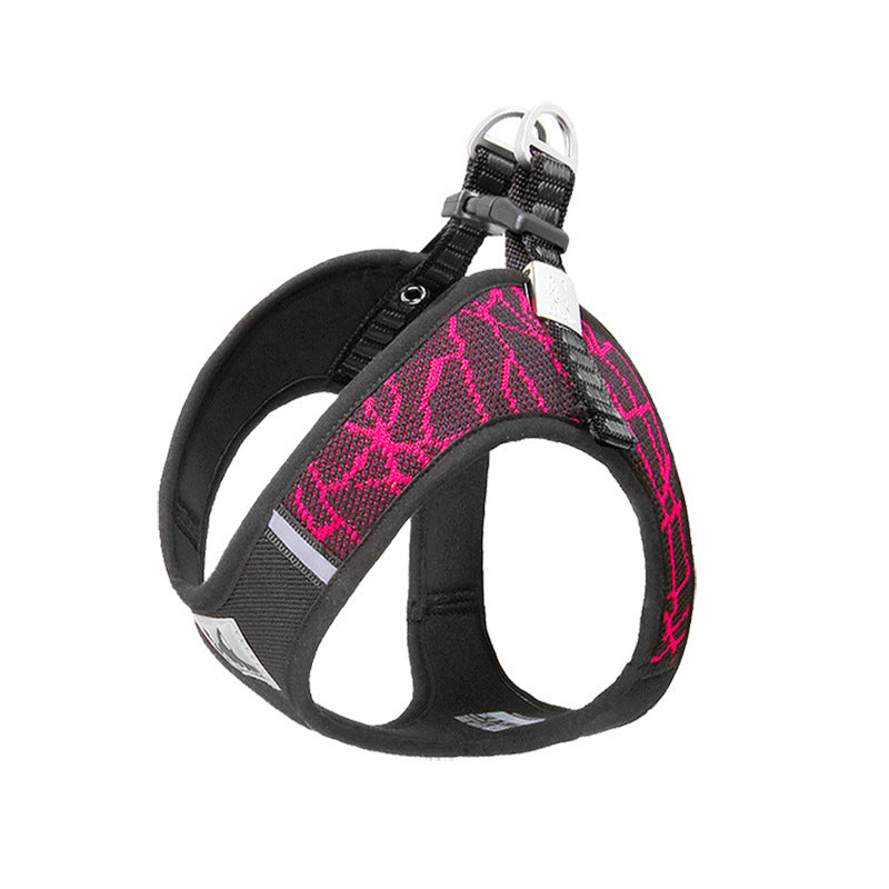 Pet Harness & Leash