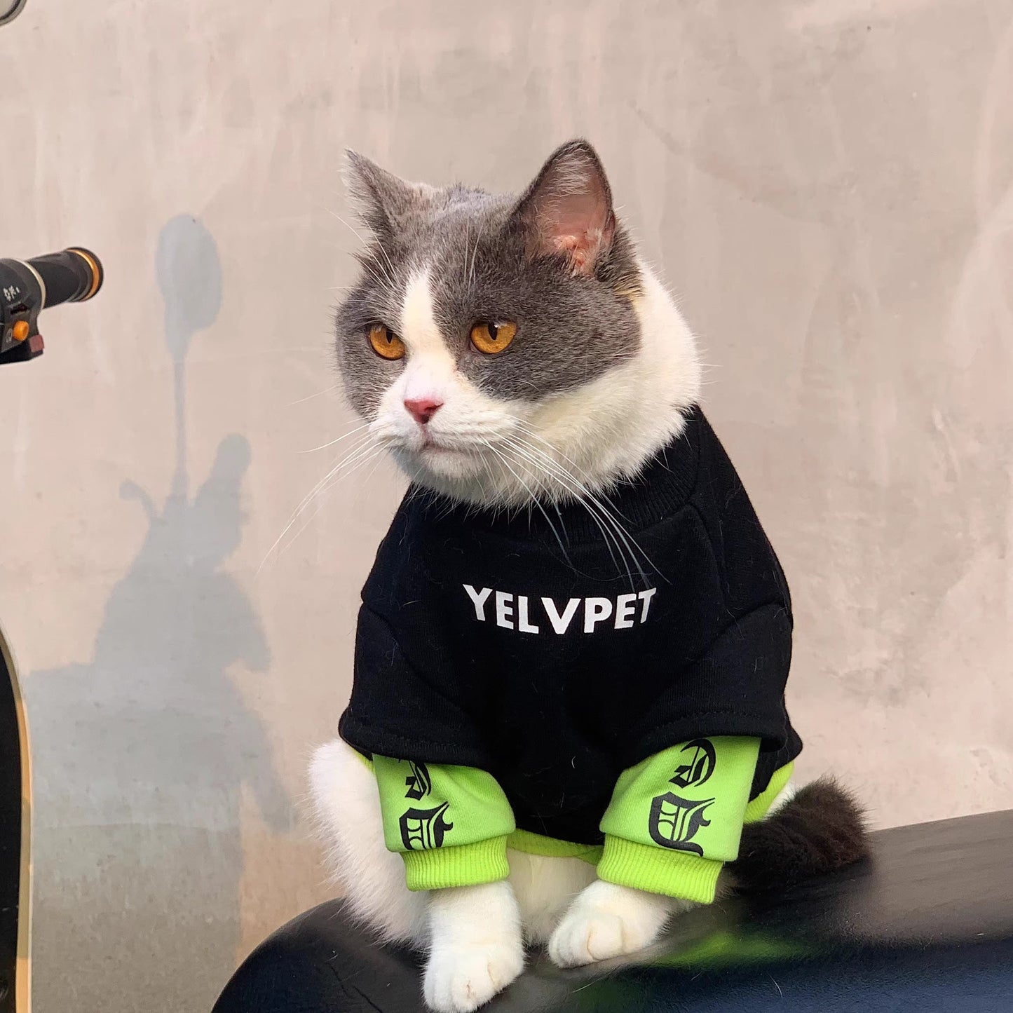 Autumn & Winter Pet Clothes