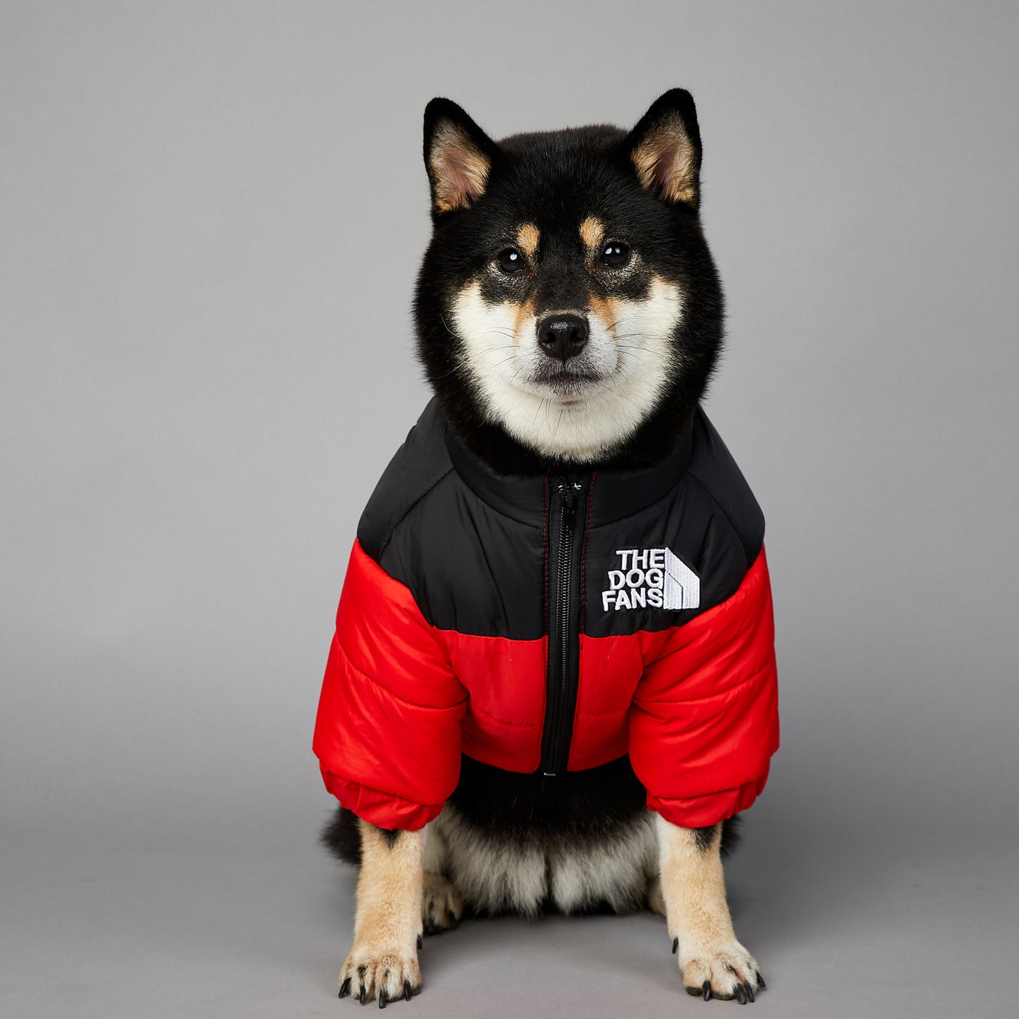 Winter Dog Coat