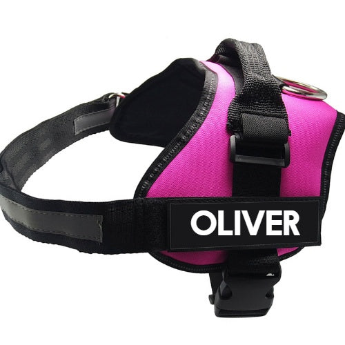 Dog Harness & Leash