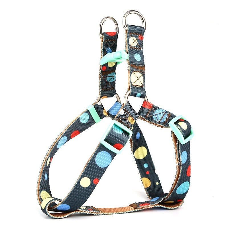 Pet Harness & Leash Set