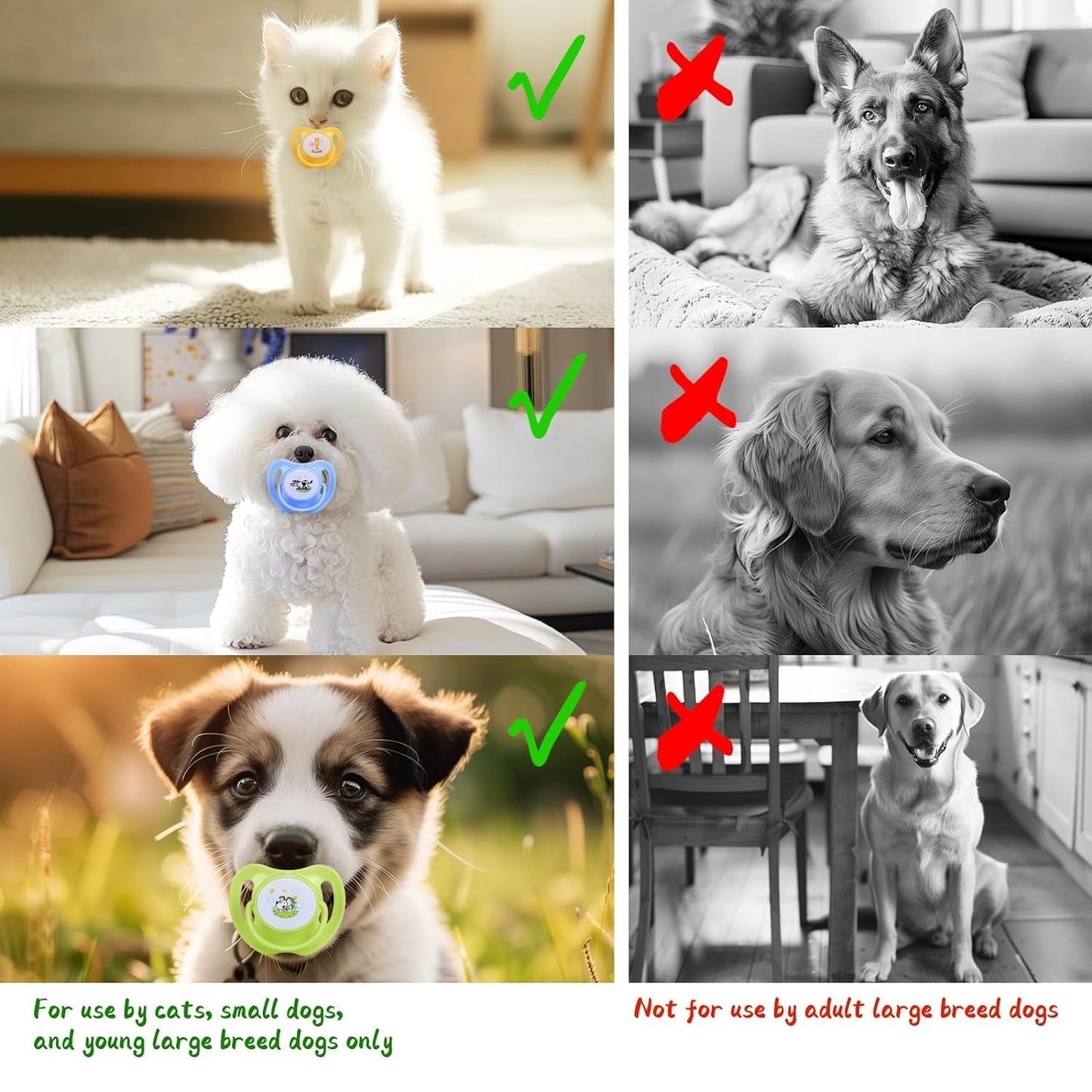 Dog Kitten Pacifiers –Teething Chew Toys