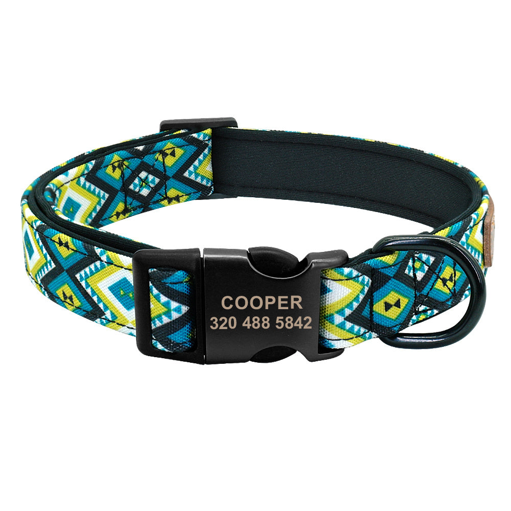 Engraved No-Tag Dog Collar