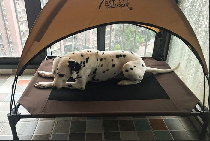 Moisture-Proof Removable Dog Bed