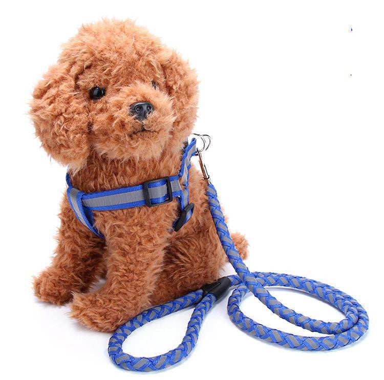 Reflective Pet Leash & Harness Set