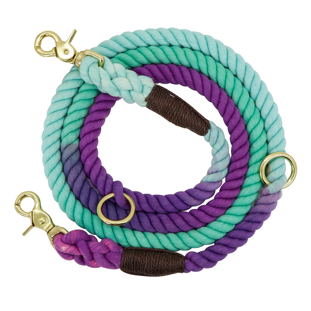 Gradient Dog Collar & Leash