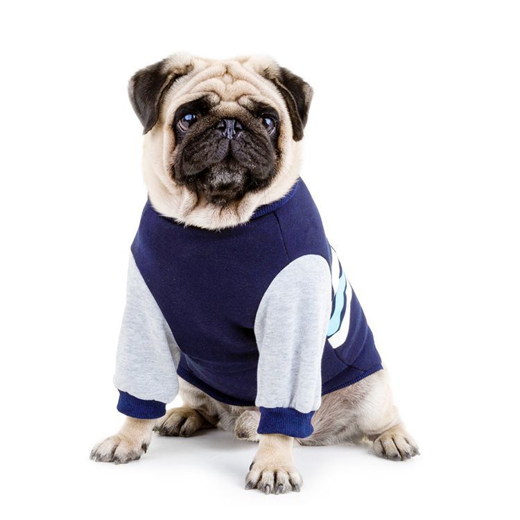Pet Leisure Sweater