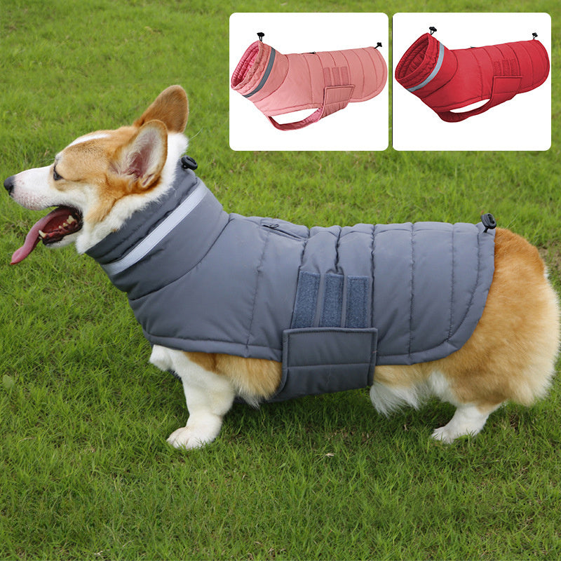 Cold-Proof Dog Trench