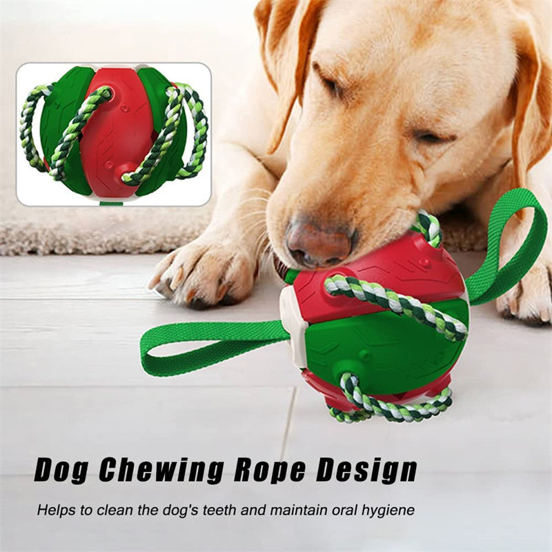 Interactive Dog Soccer Ball Toy