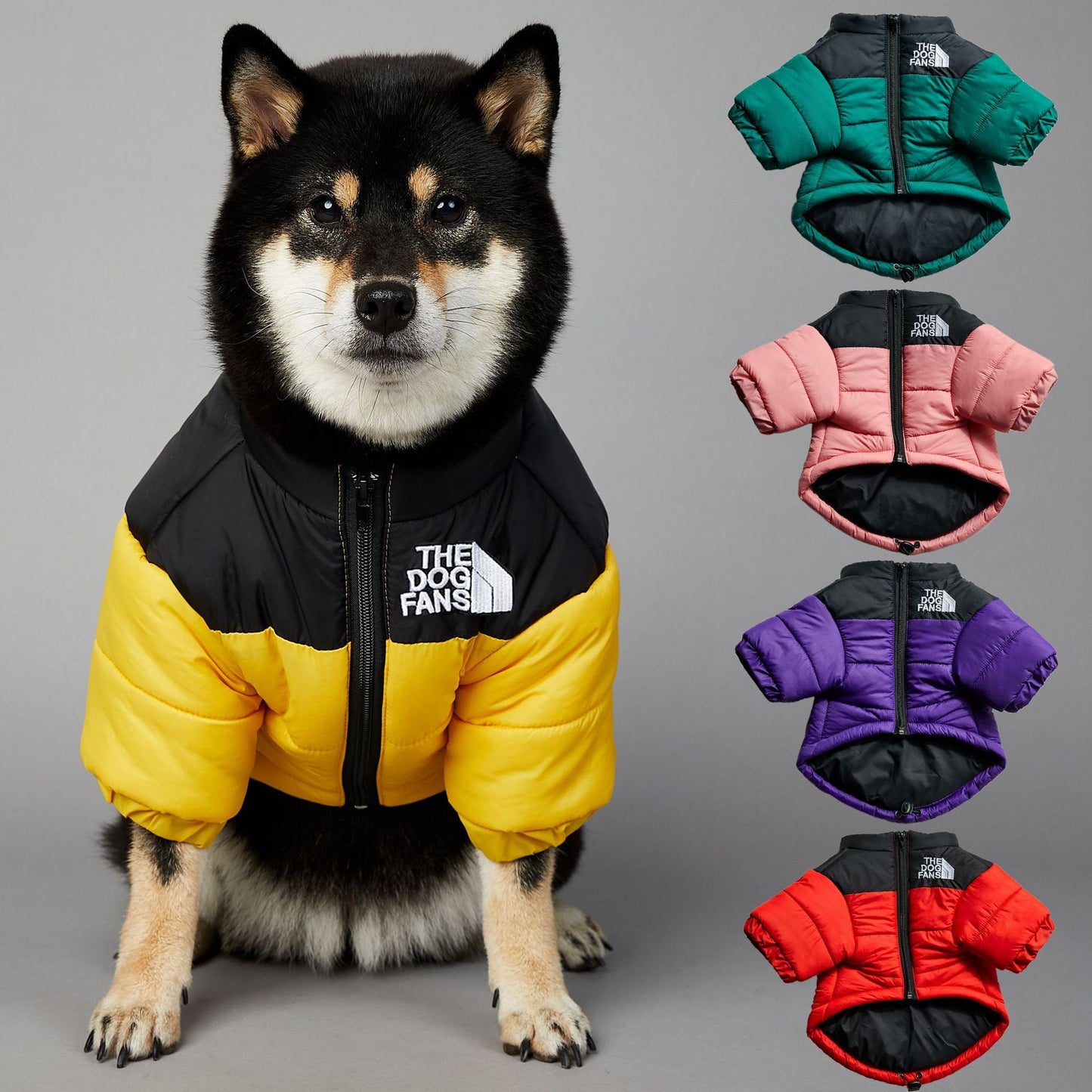 Winter Dog Coat