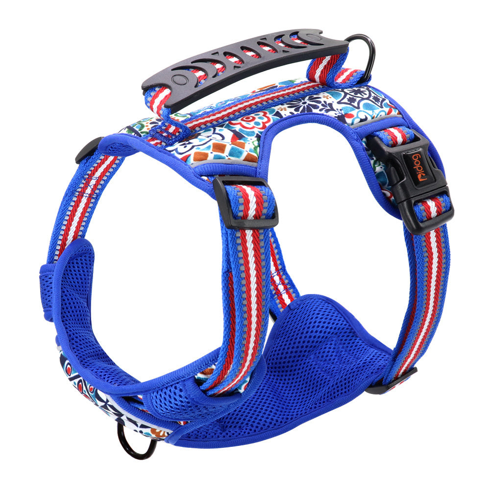 Dog Harness & Leash
