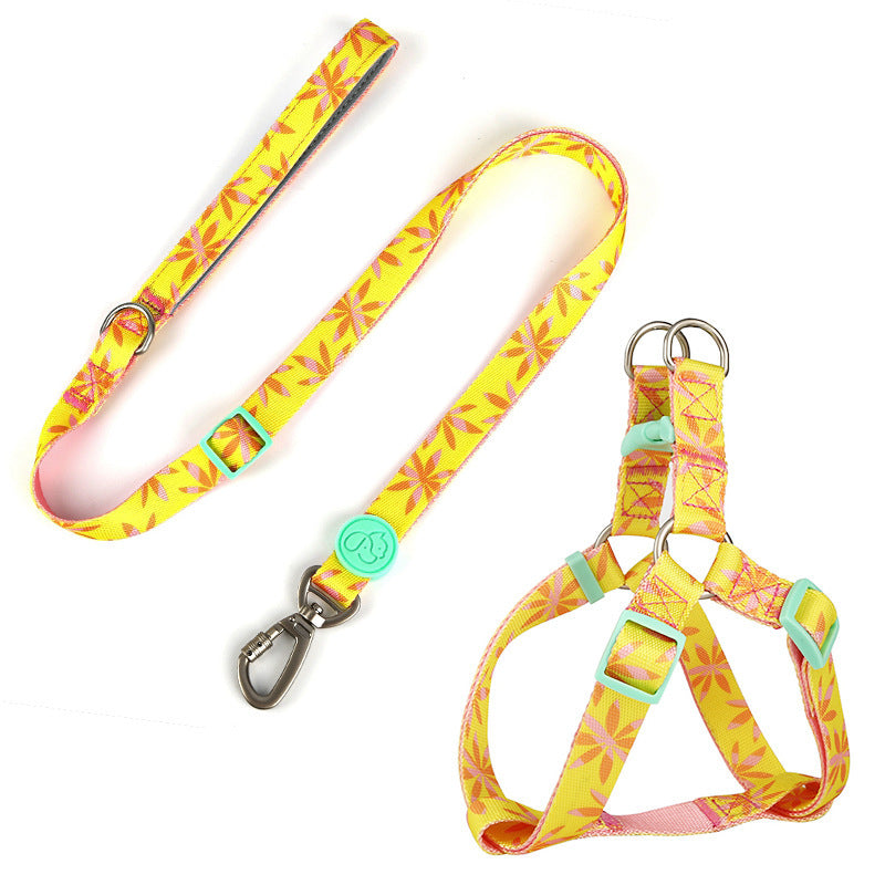 Pet Harness & Leash Set