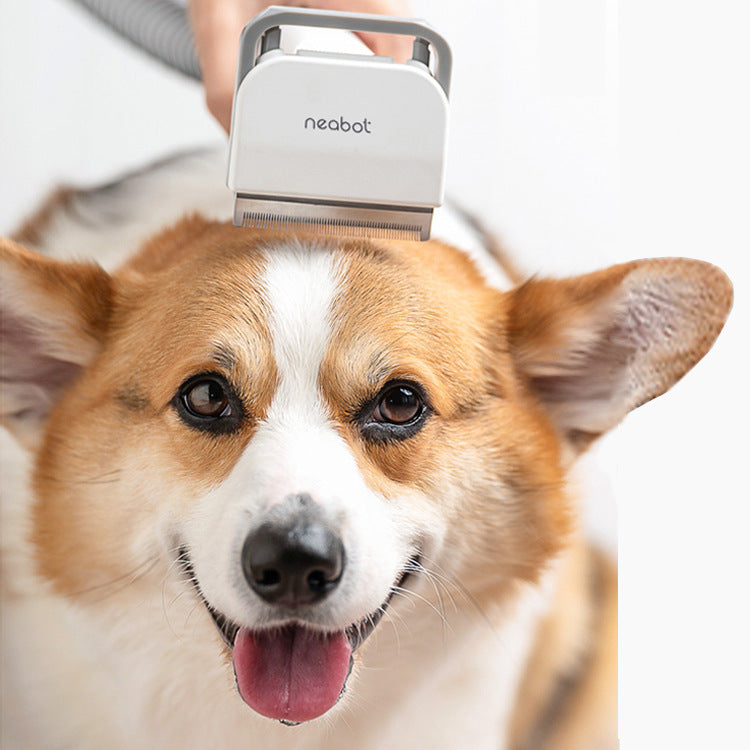 Pet Grooming Shaving Tool