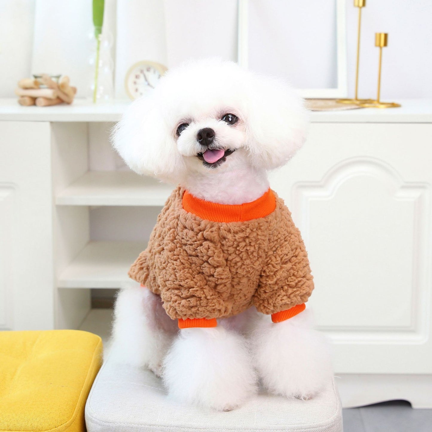 Candy-Colored Plush Pet Coat