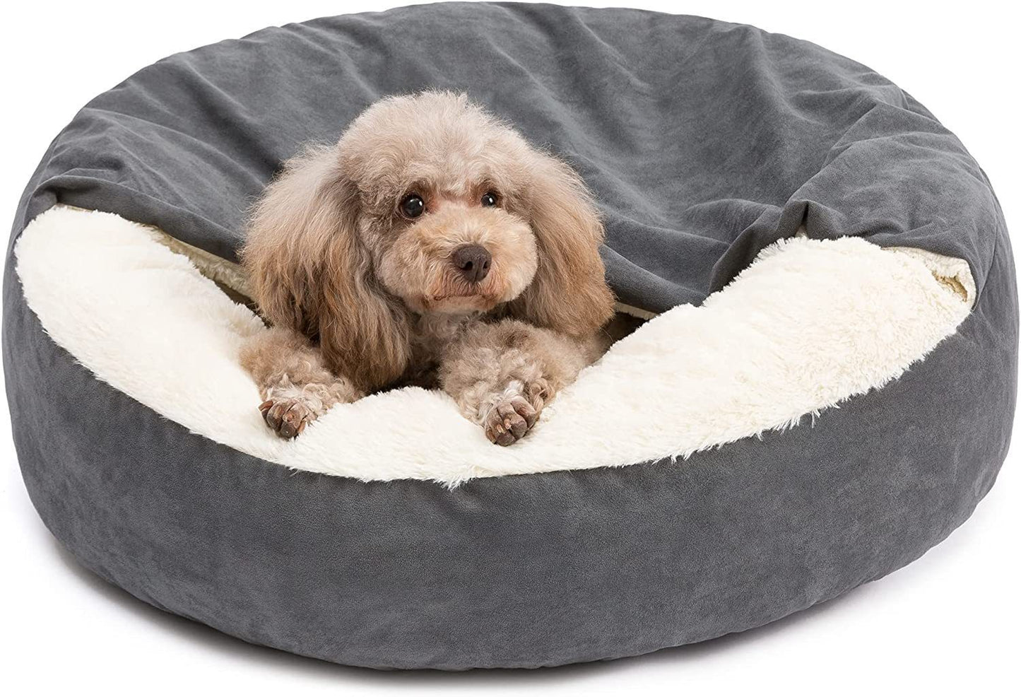 Teddy Pet Bed for Small & Medium Dogs
