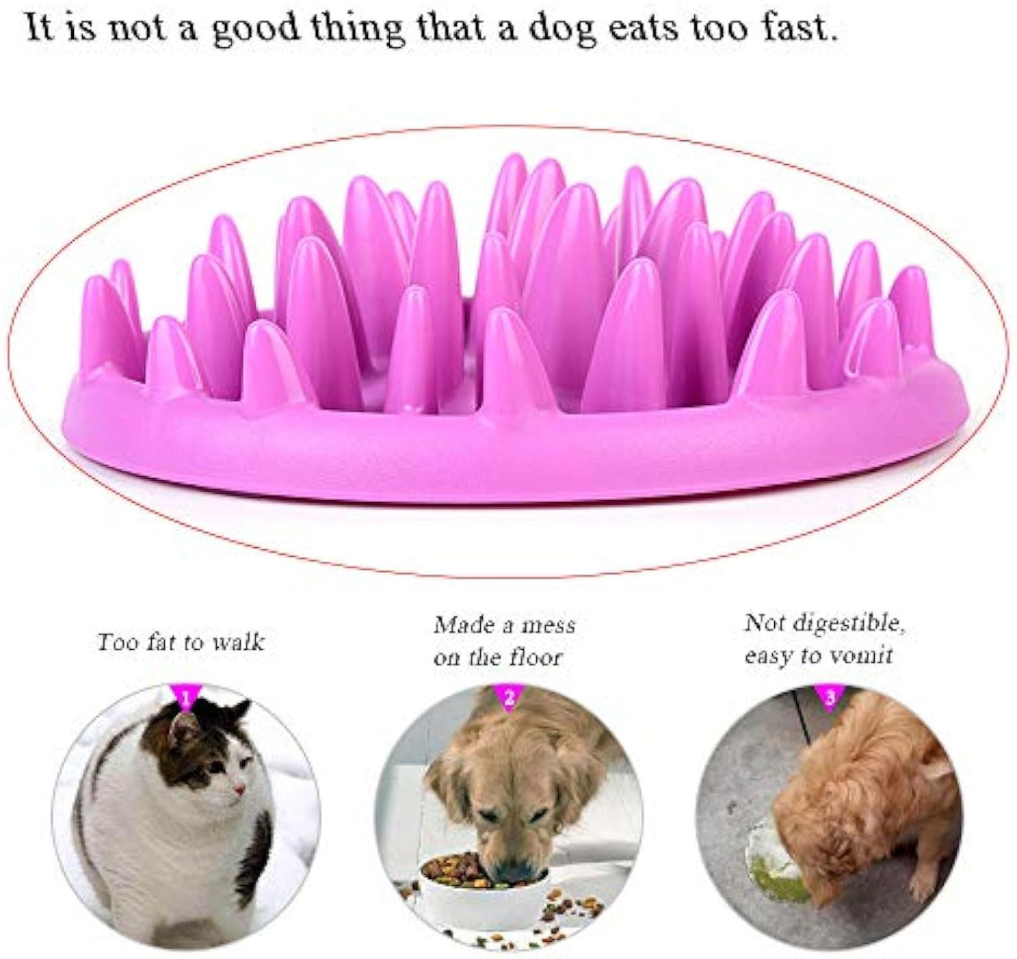 Cat Slow Feeder Bowl