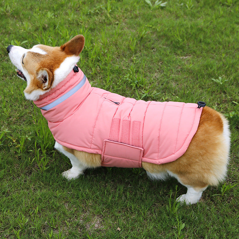 Cold-Proof Dog Trench