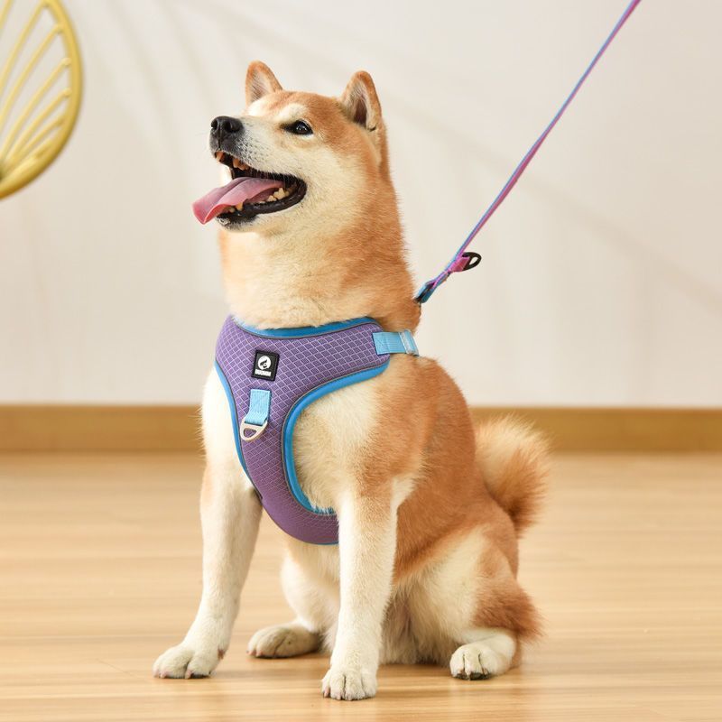 Adjustable Mesh Pet Harness