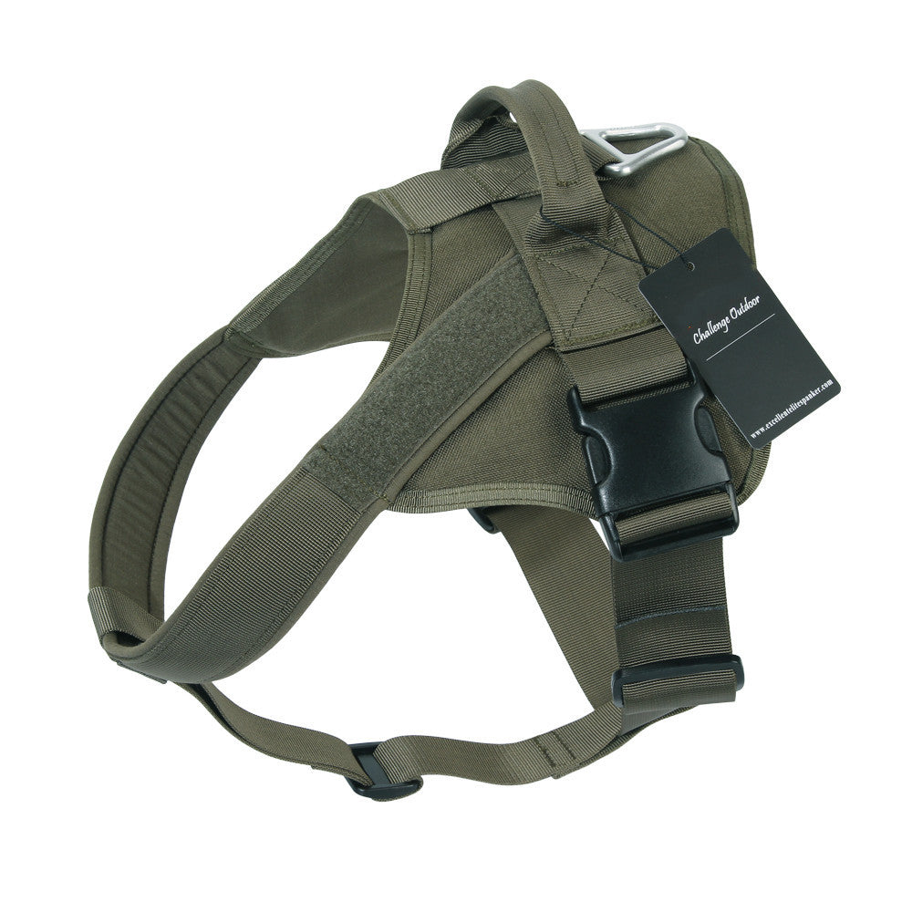 Custom Nylon Dog Harness