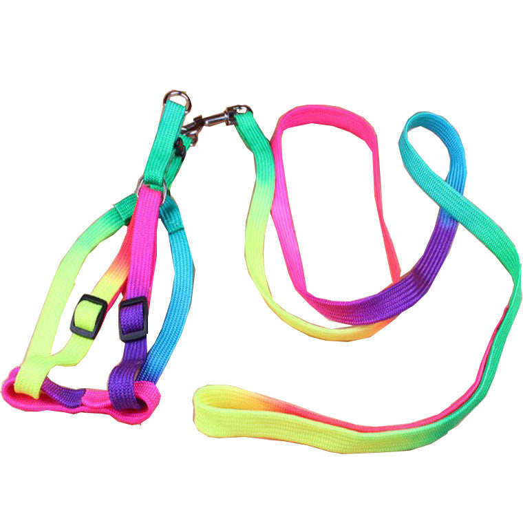 Leashes Colorful Leashes