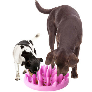 Cat Slow Feeder Bowl