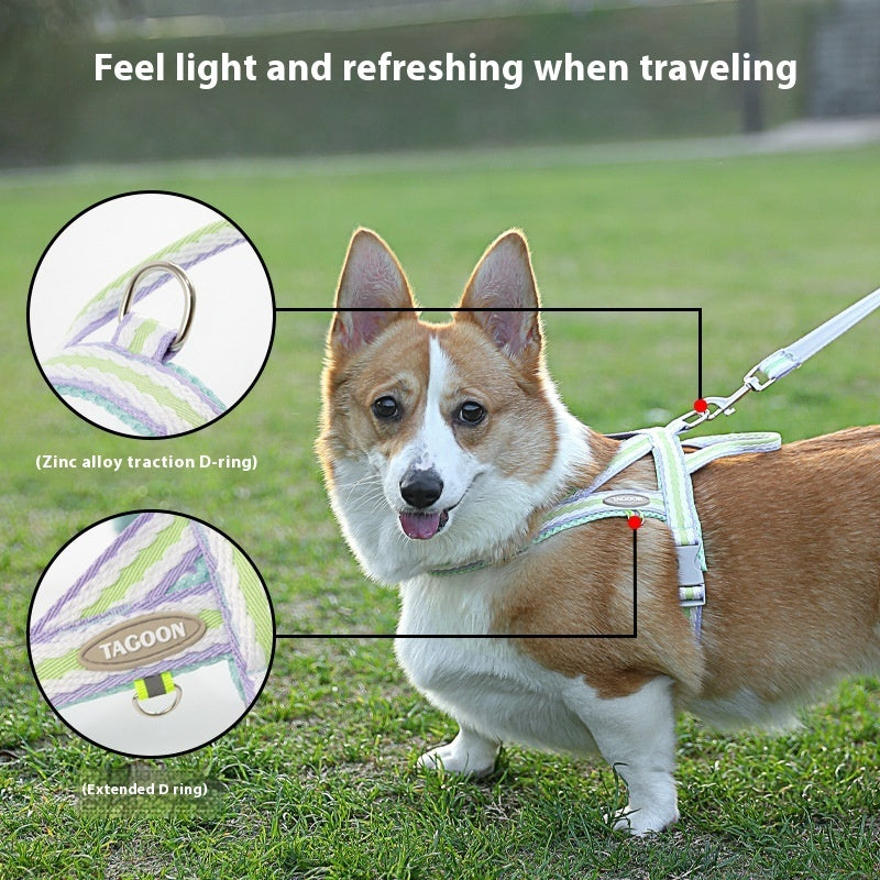 Dog Walking Harness
