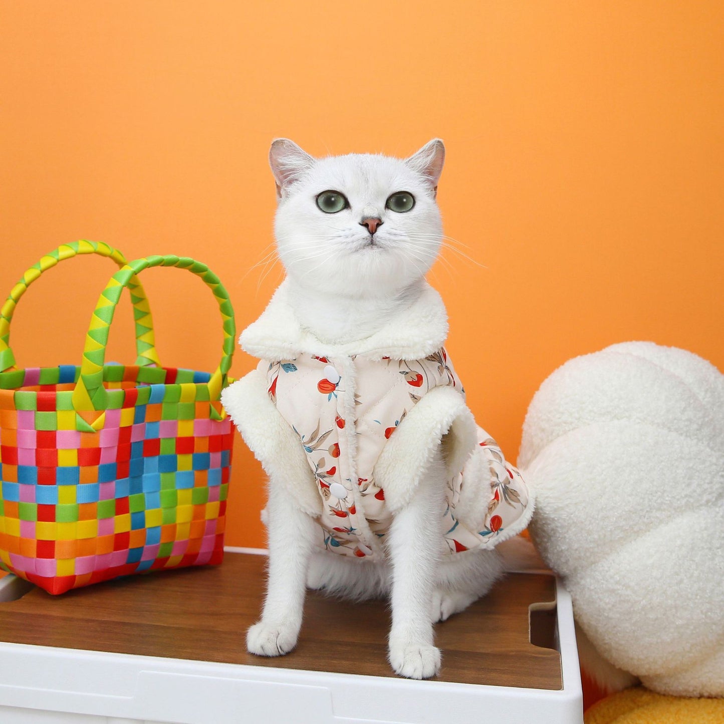 Autumn/Winter Cat Clothes