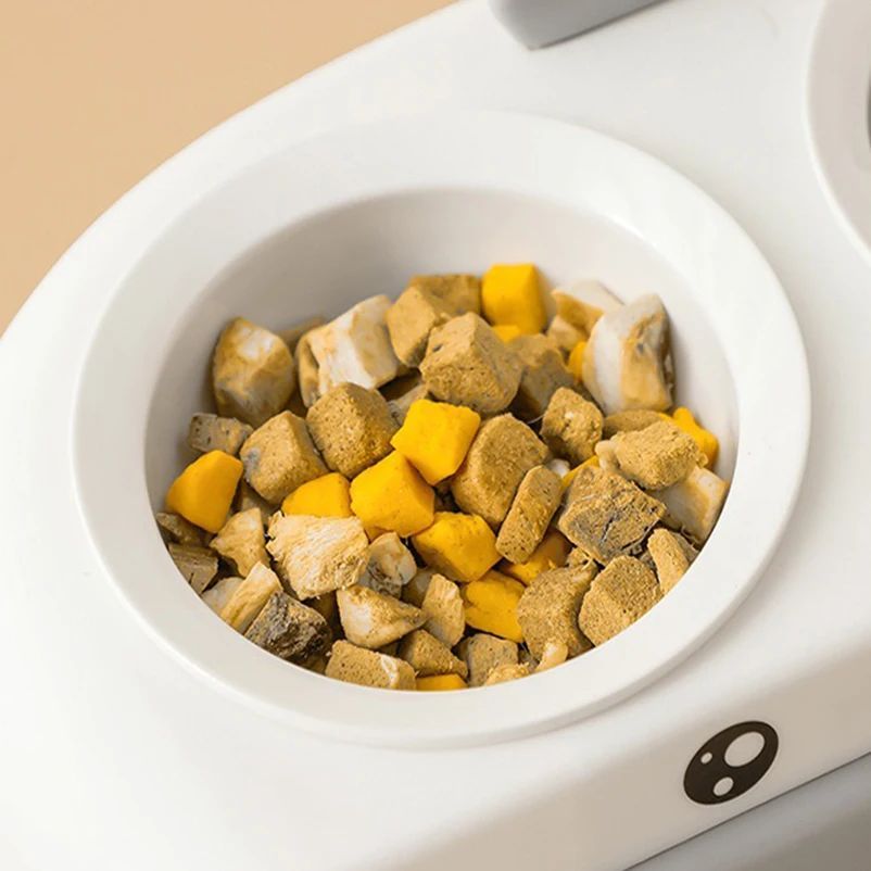 Duck Design Pet Bowl Feeder