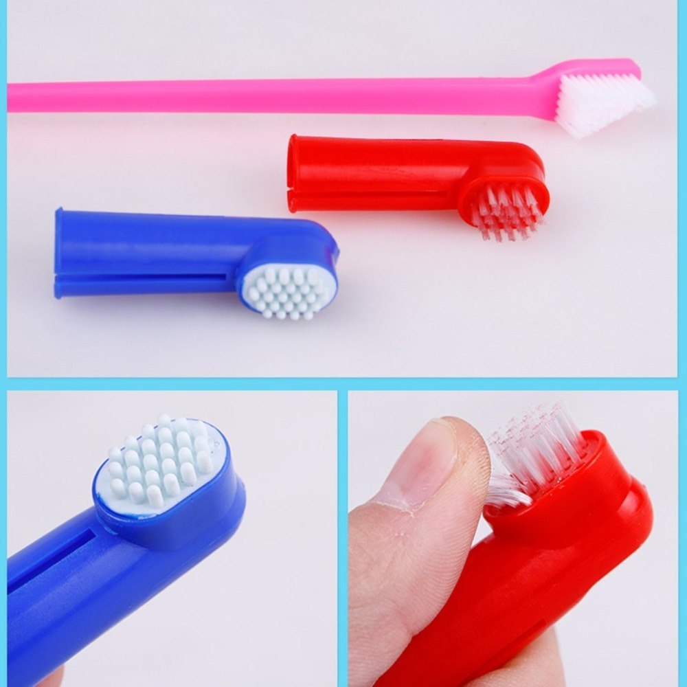 Double Head Pet Toothbrush Set