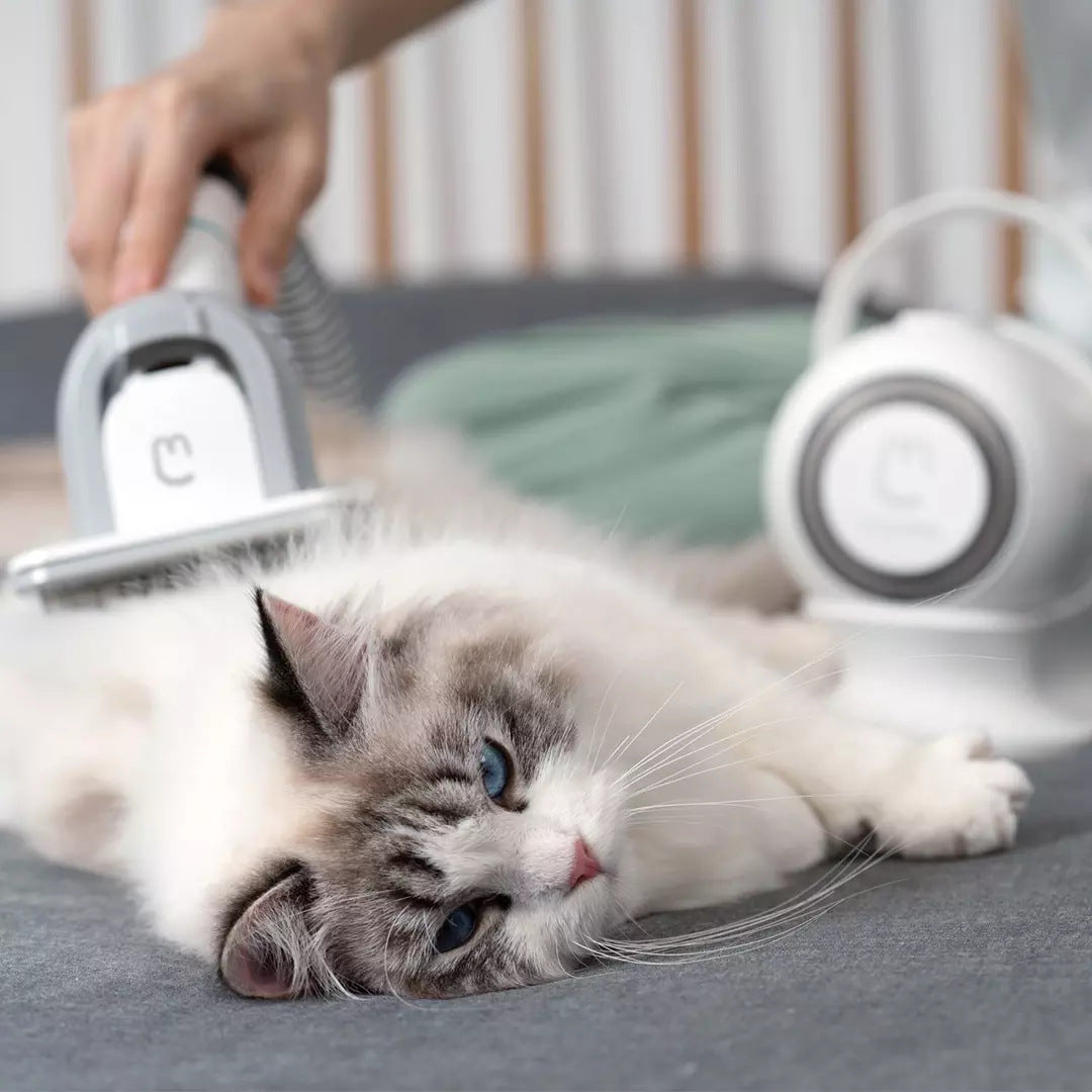Pet Shaving Groomer