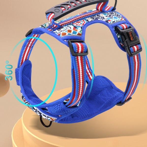 Dog Harness & Leash