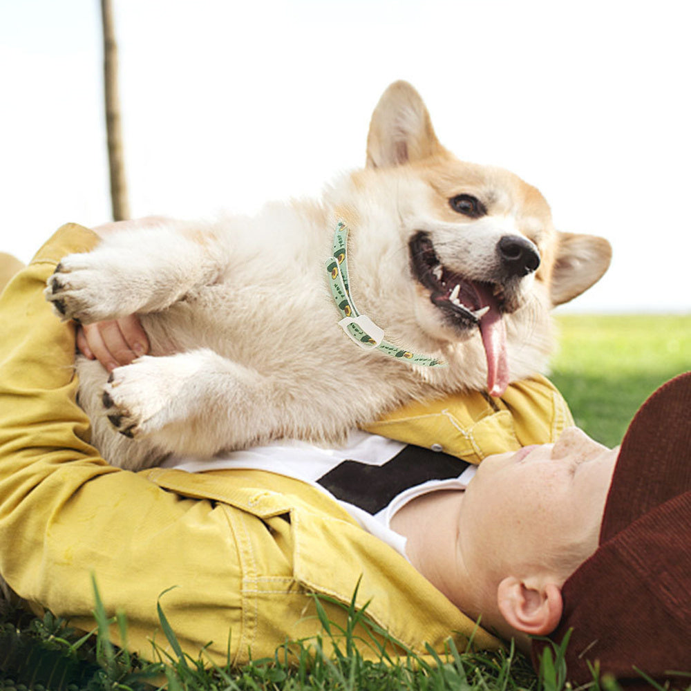 Pet Flea & Tick Collar
