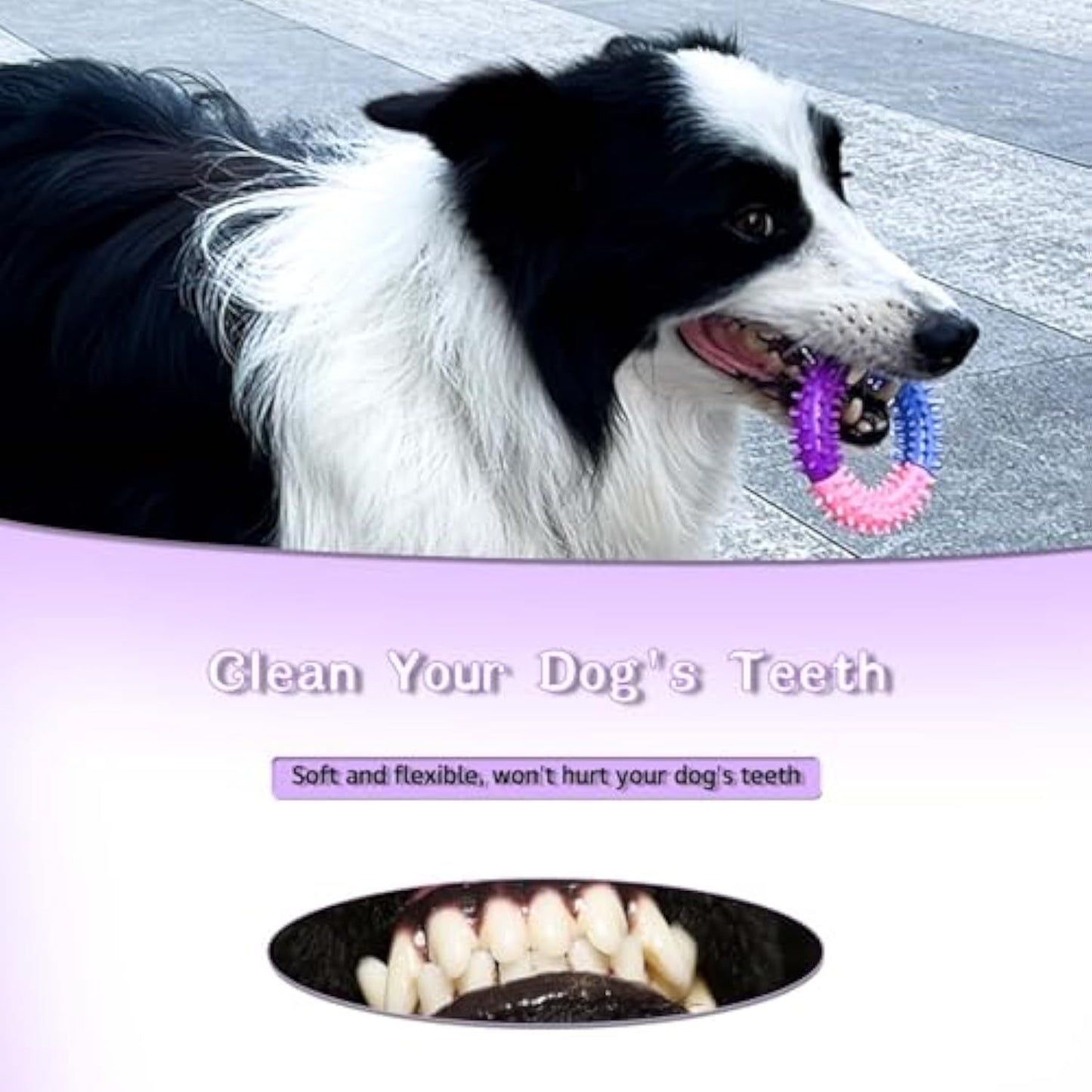 Dog Chew Ring Toy