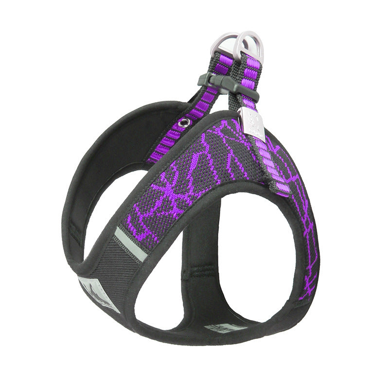Pet Harness & Leash