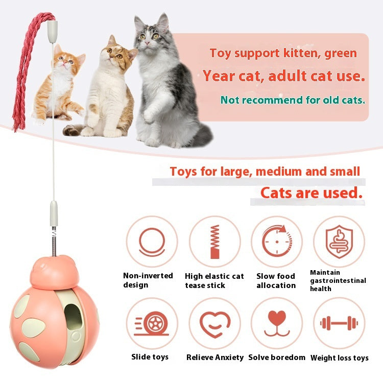 Food Dispensing Cat Toy
