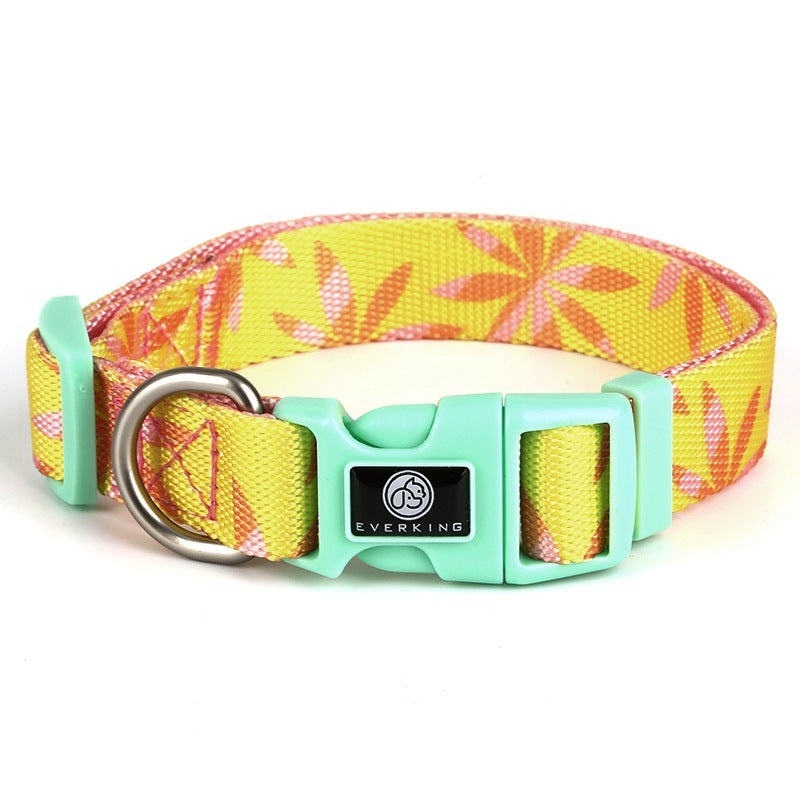 Pet Harness & Leash Set