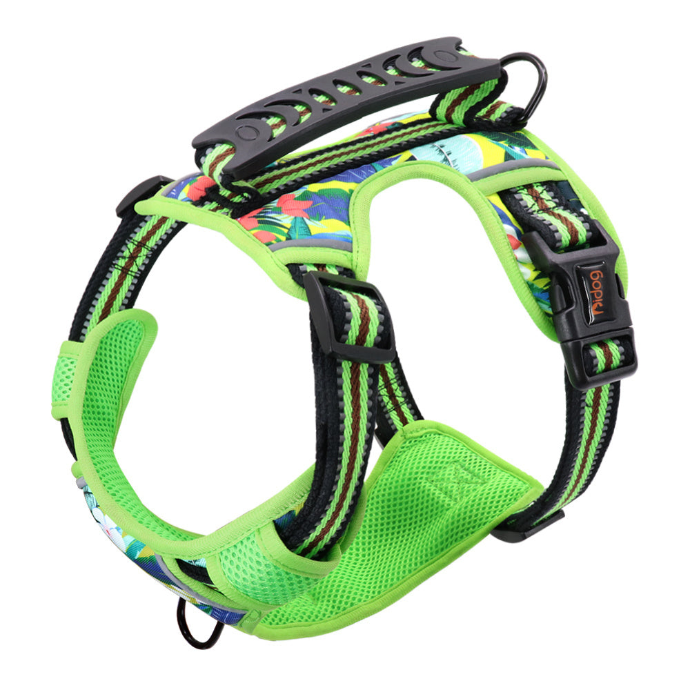 Dog Harness & Leash