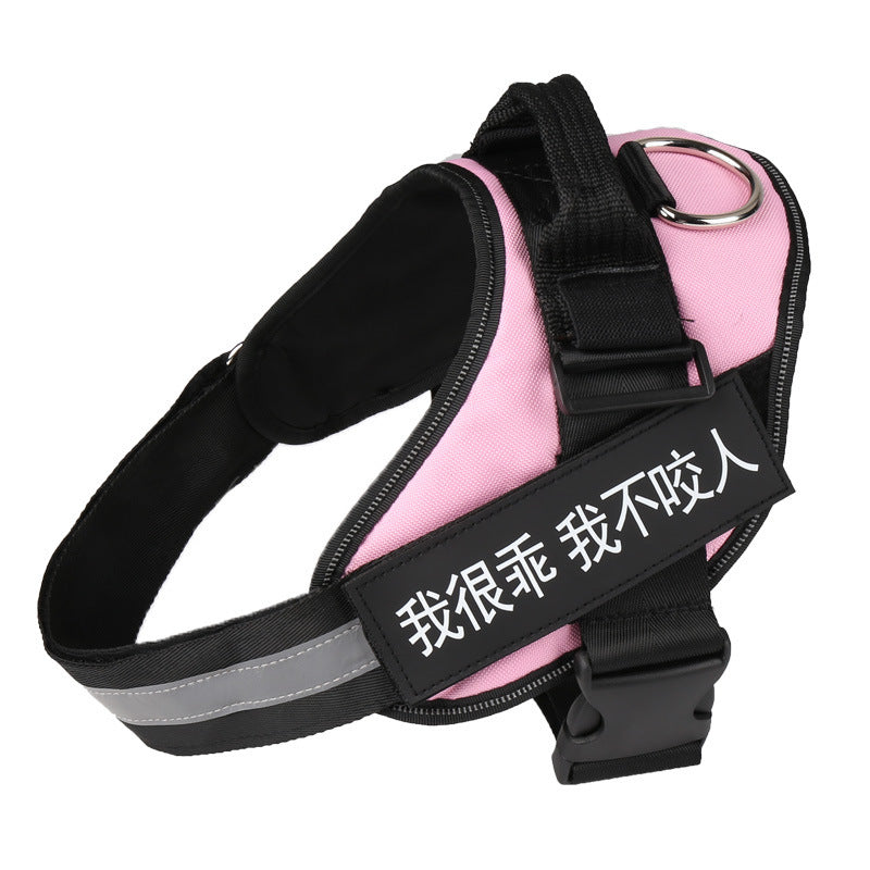 Dog Harness & Leash