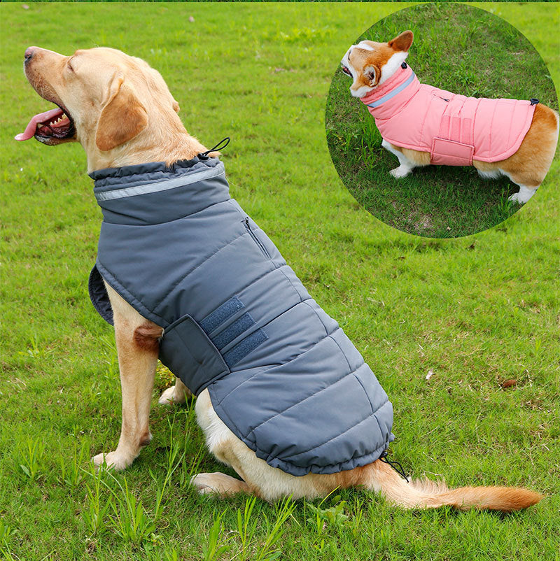 Cold-Proof Dog Trench